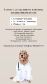 Ветеринарная клиника доктора Кротова